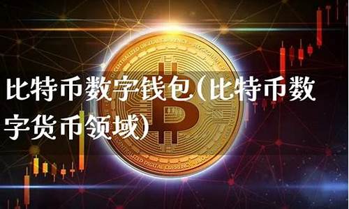 比特币数字钱包(比特币数字钱包诈骗立案) 汇率