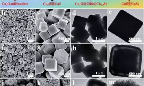 cuse币最新价格(clu币价格) 交易所